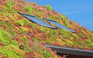 Camas An T Saoithein living roof systems